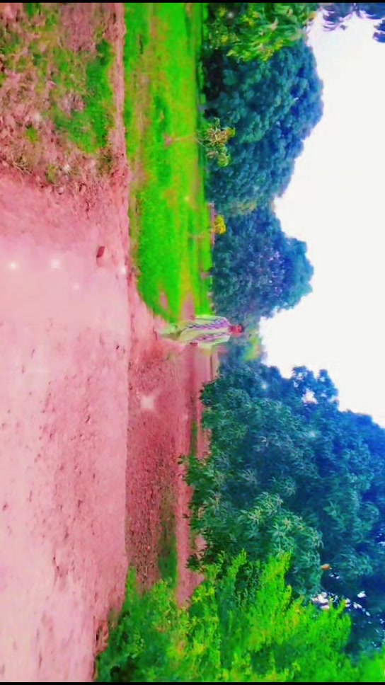@03209598814