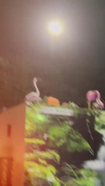 @⚜️海德尔苏莱赫里🪽
