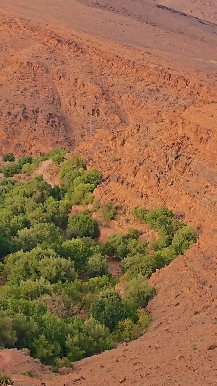@ابو أمين العوبلي YEMEN 🇾🇪