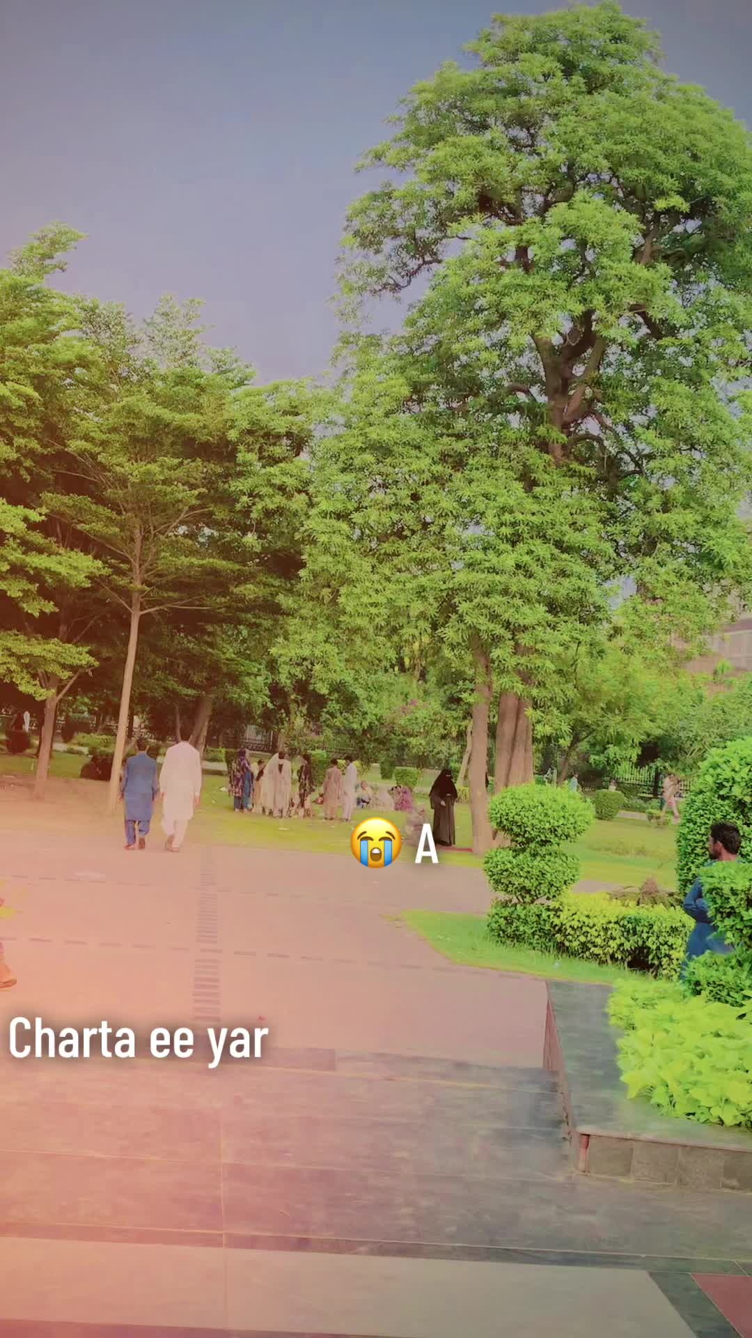 @◔‿◔w ♡A ❥˙
