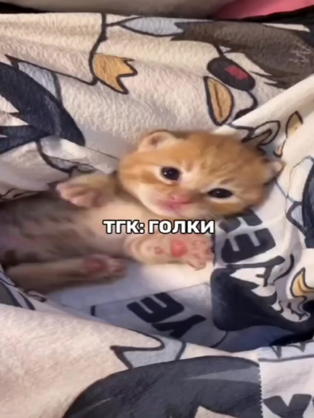 @богатый сыр🤔