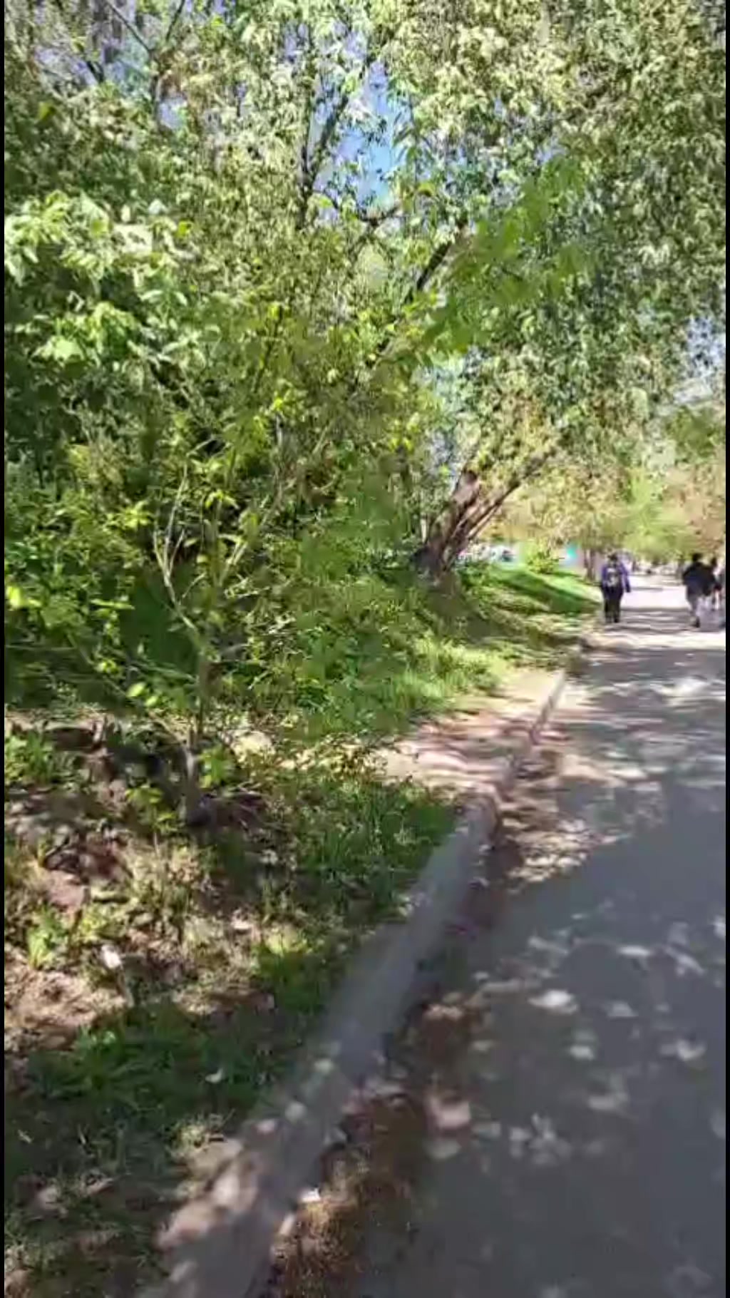 @уход за кожейуход за волосами