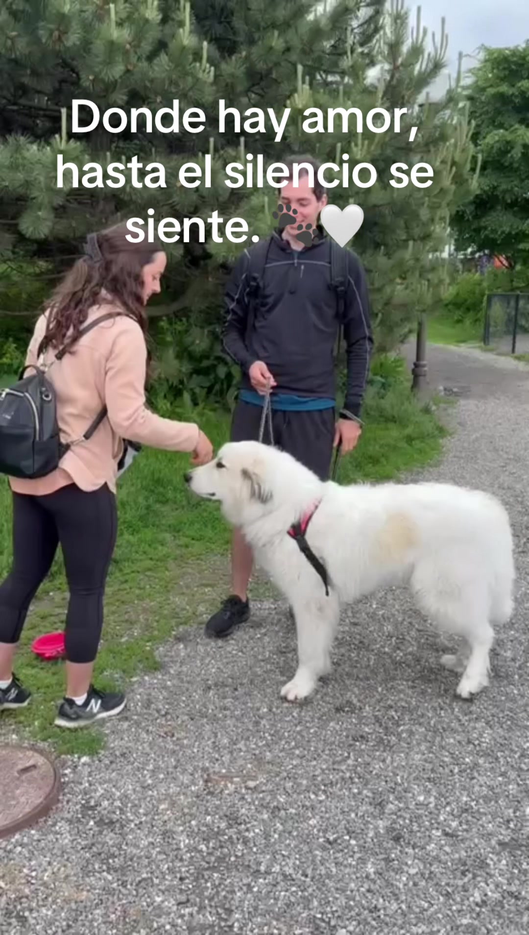 @BelitaPets