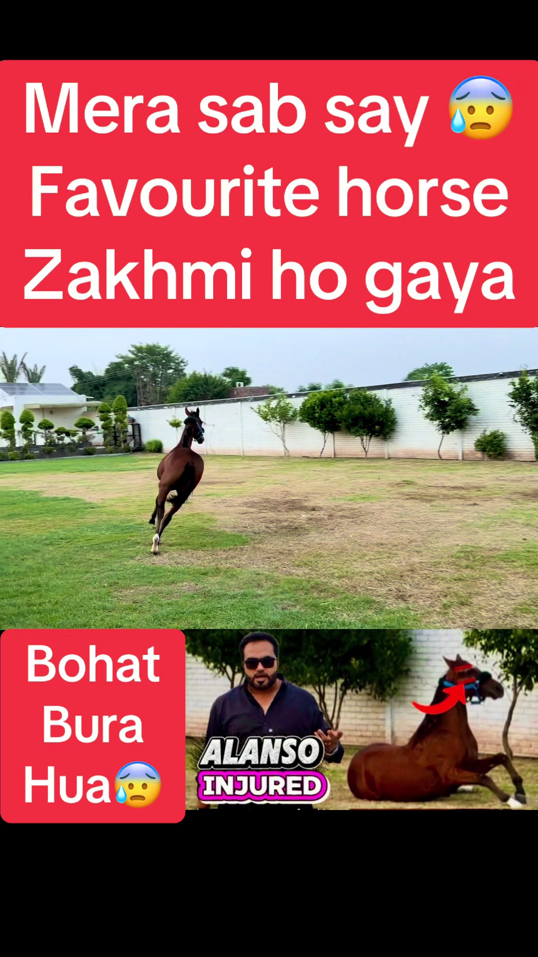 @Mian saqib