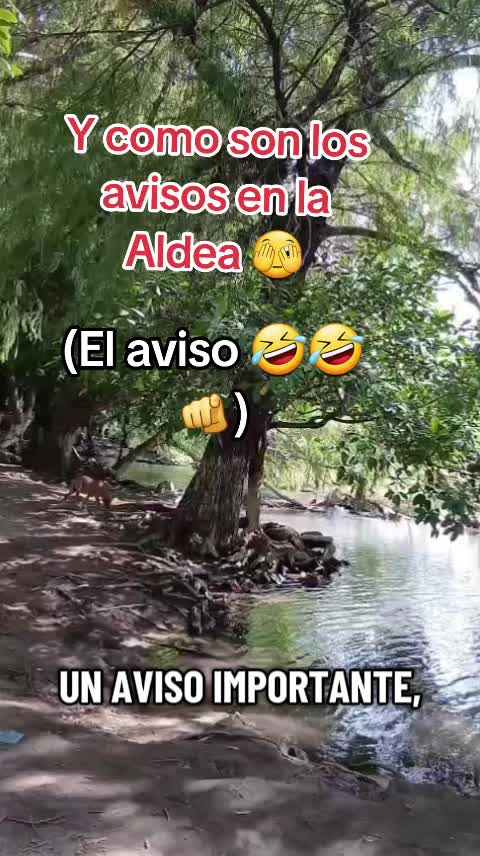 @Gabrielito 502