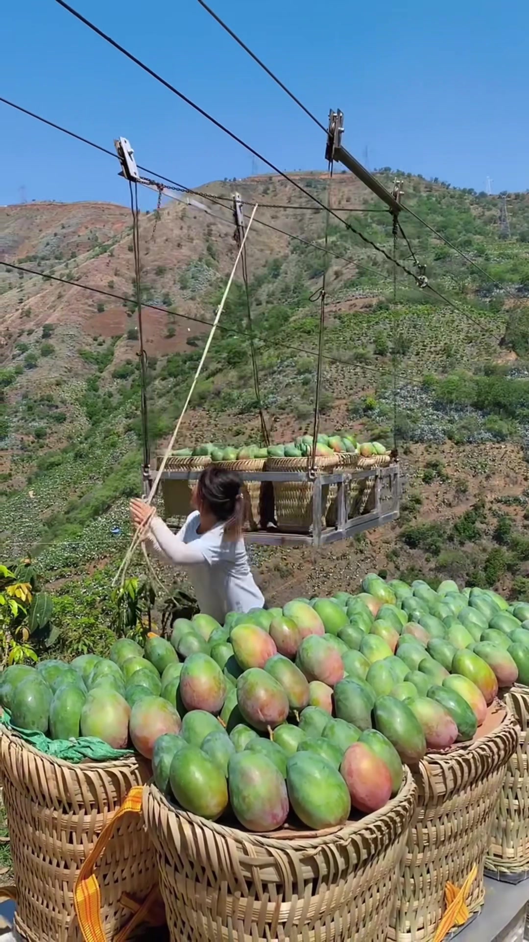 @Fruit happy