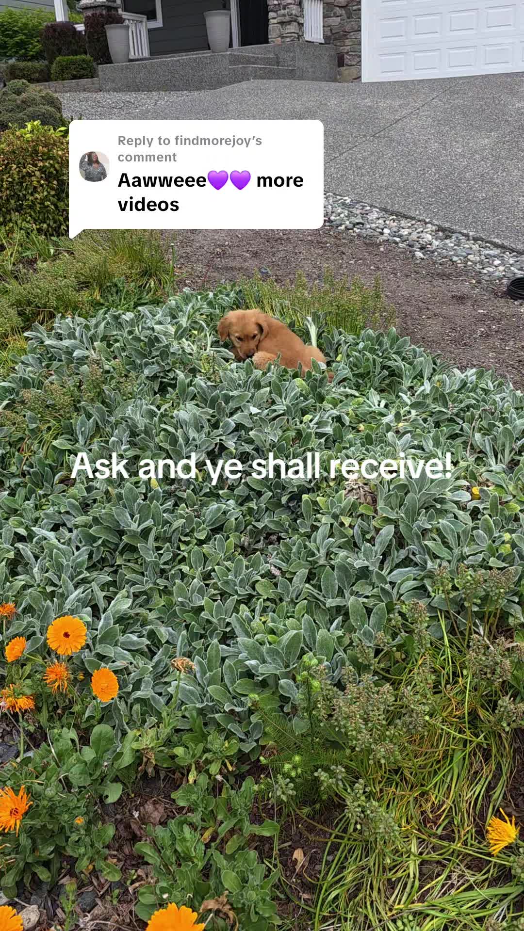 @NessaSays