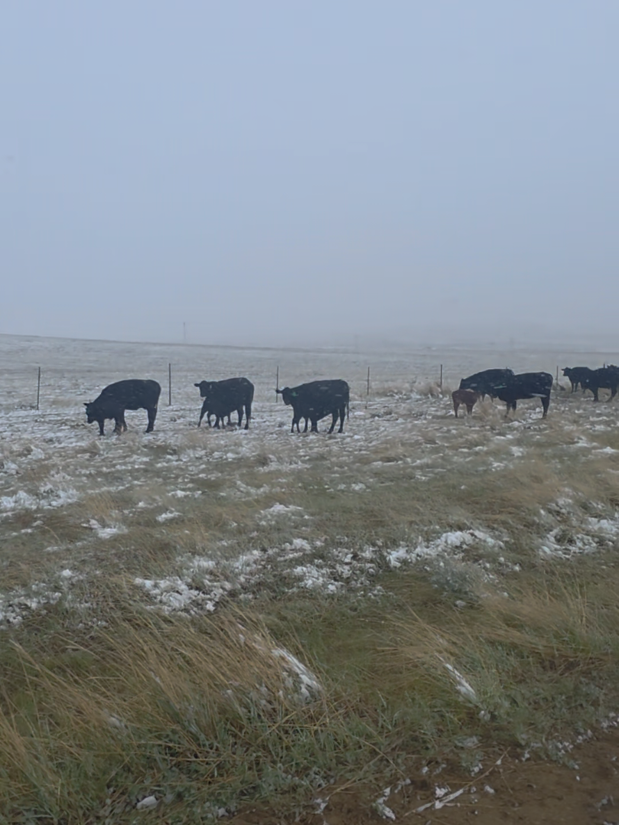 @wyomingrancher