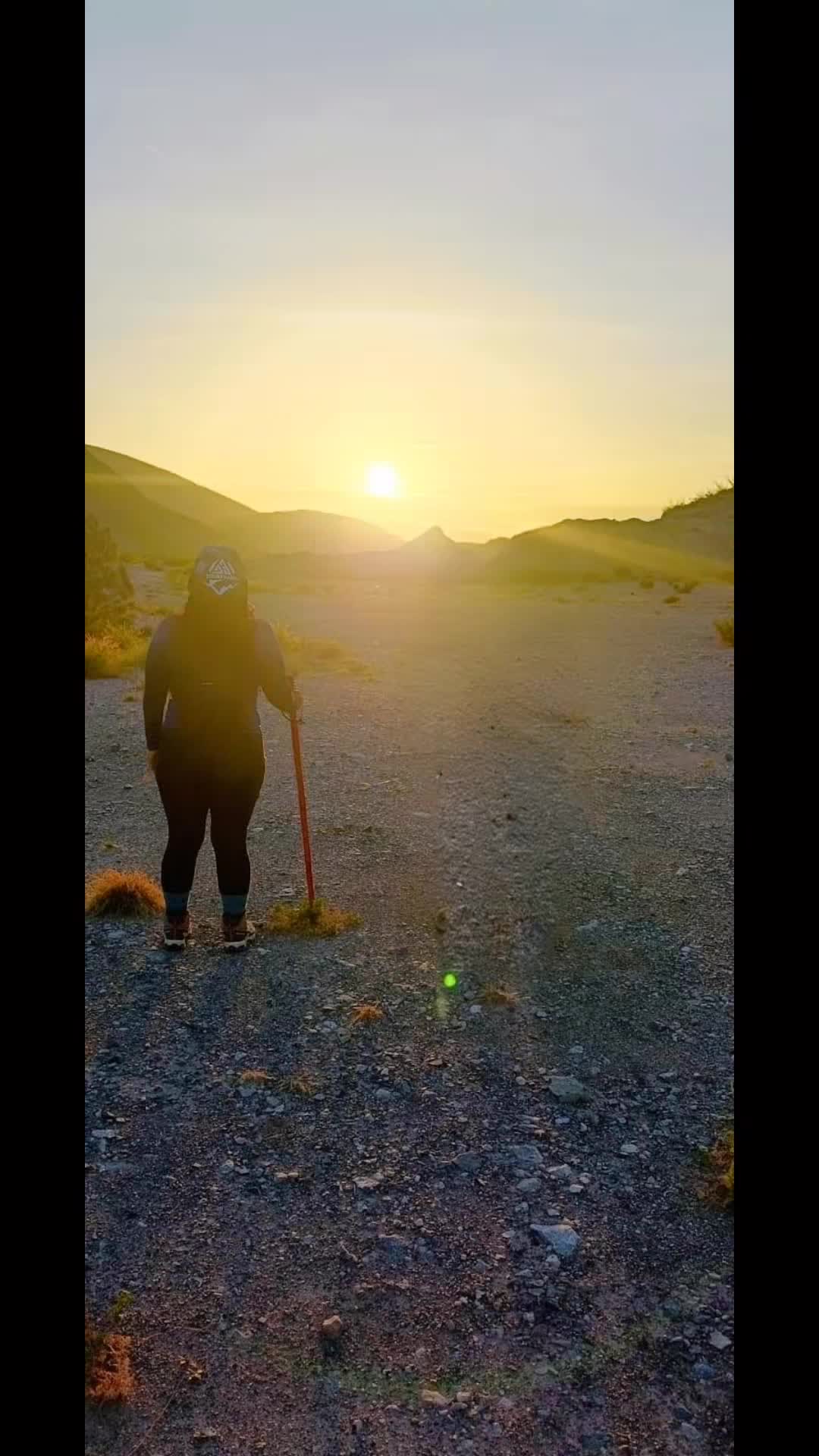 @Lulú Gómez Chapis
