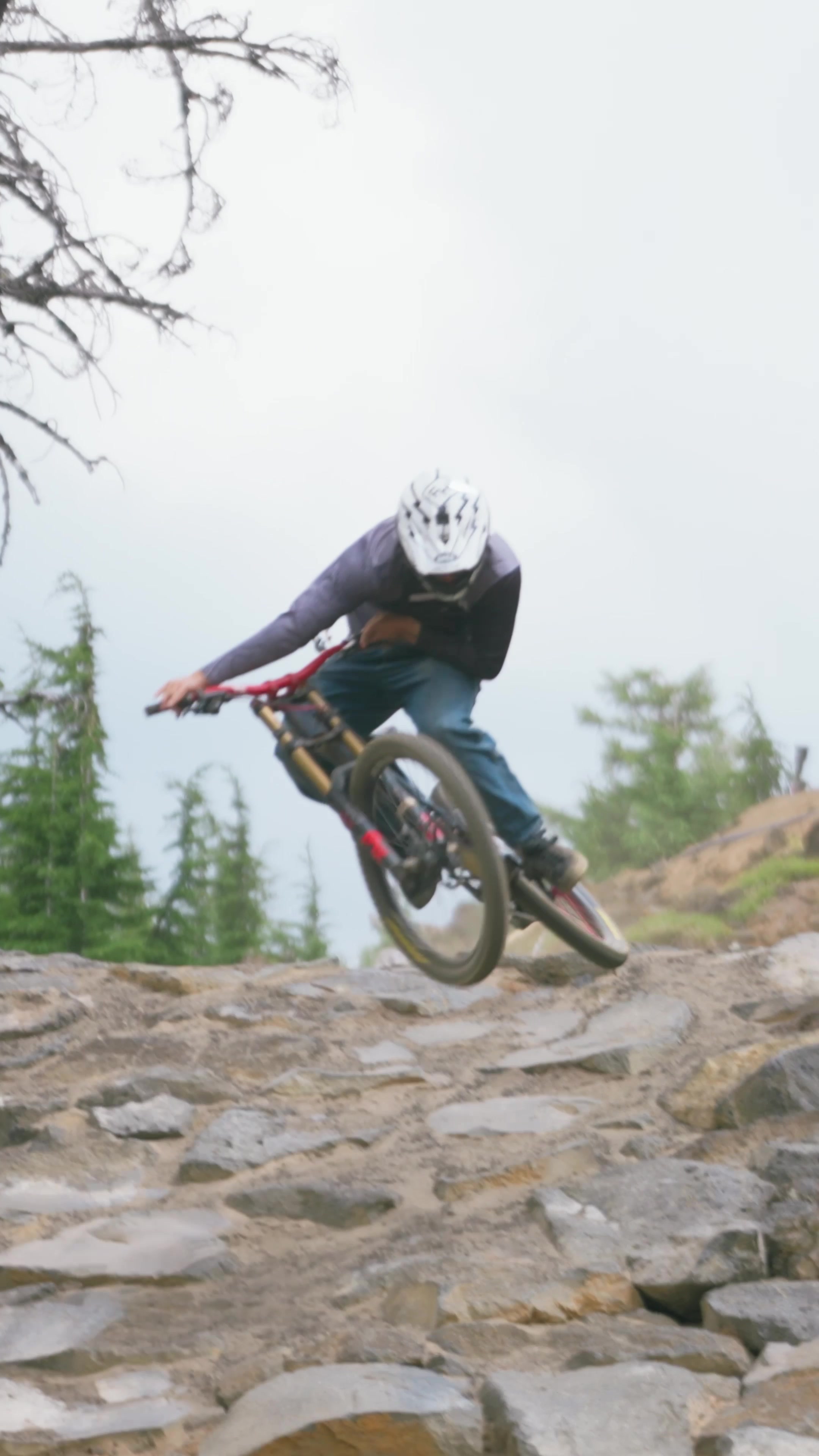 @mt.bachelor