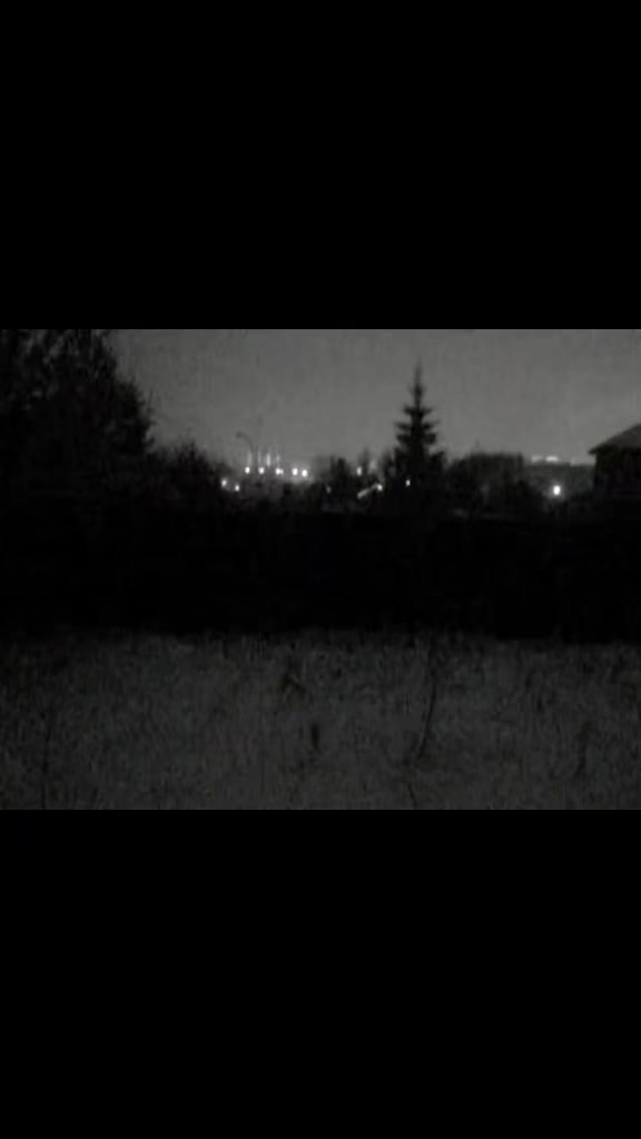 @сейкора