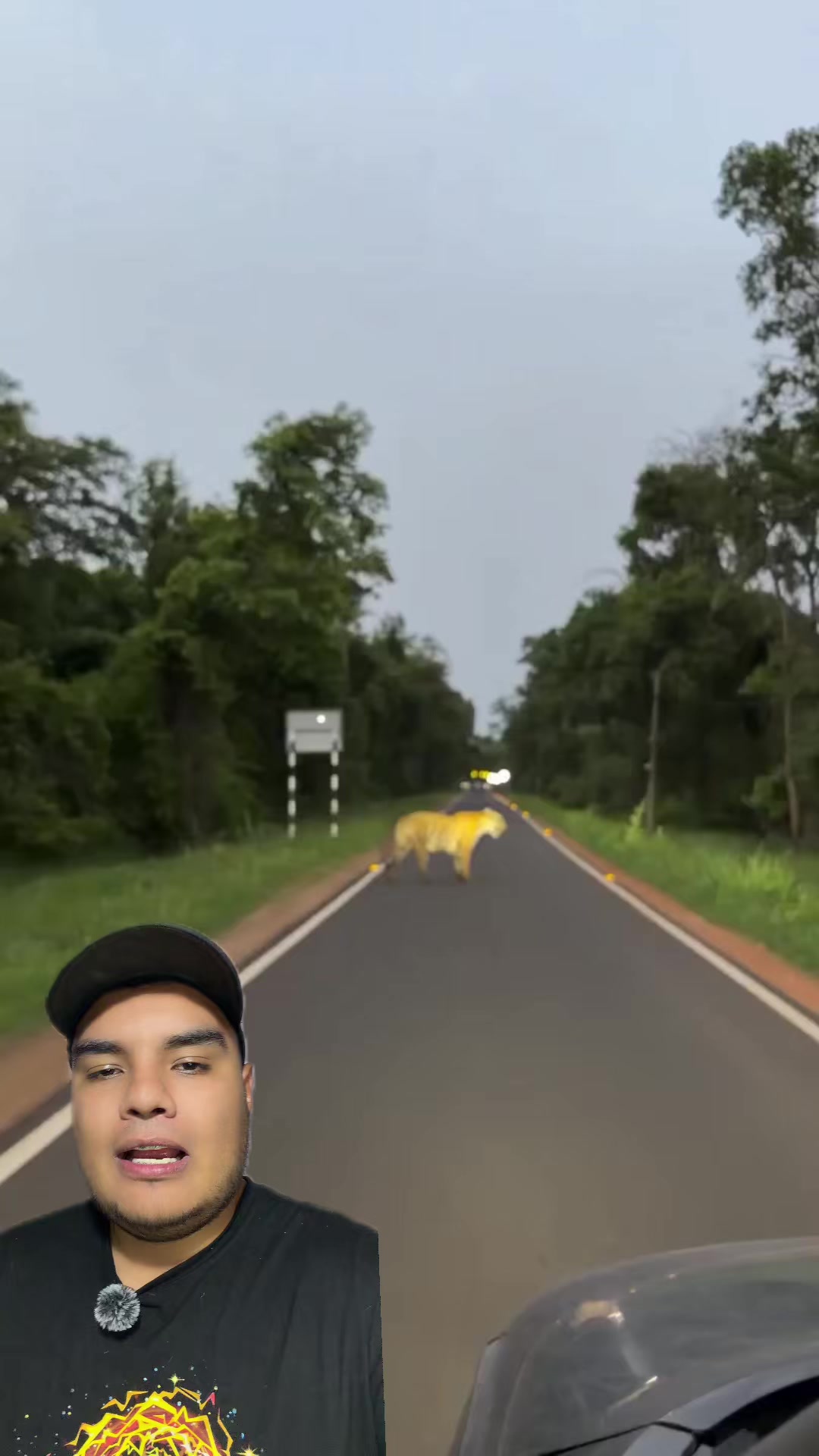 @Jair Herrera 🐆
