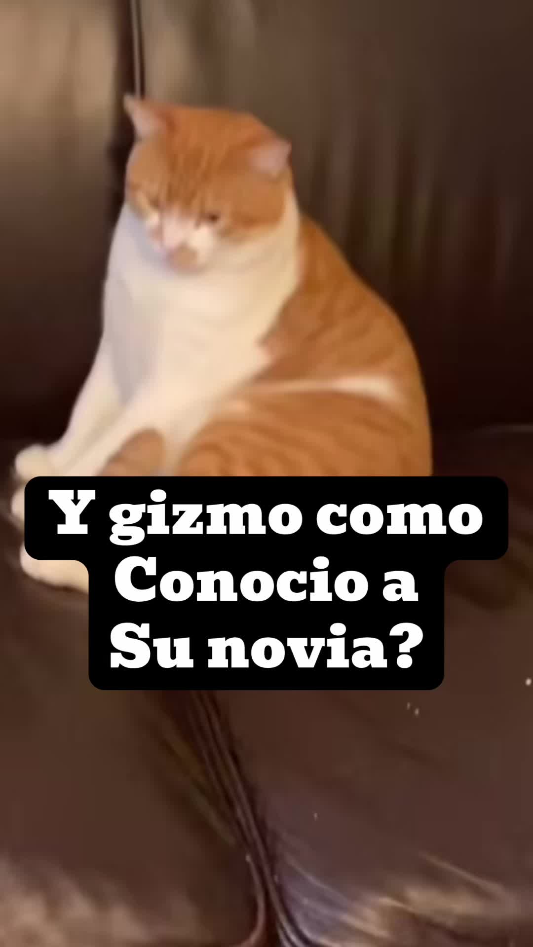 @Chef Nery
