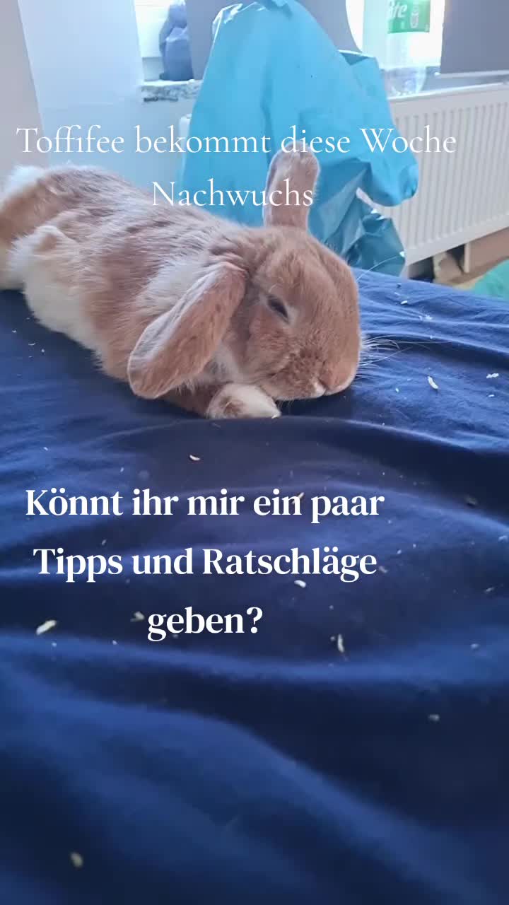@offenundfrech