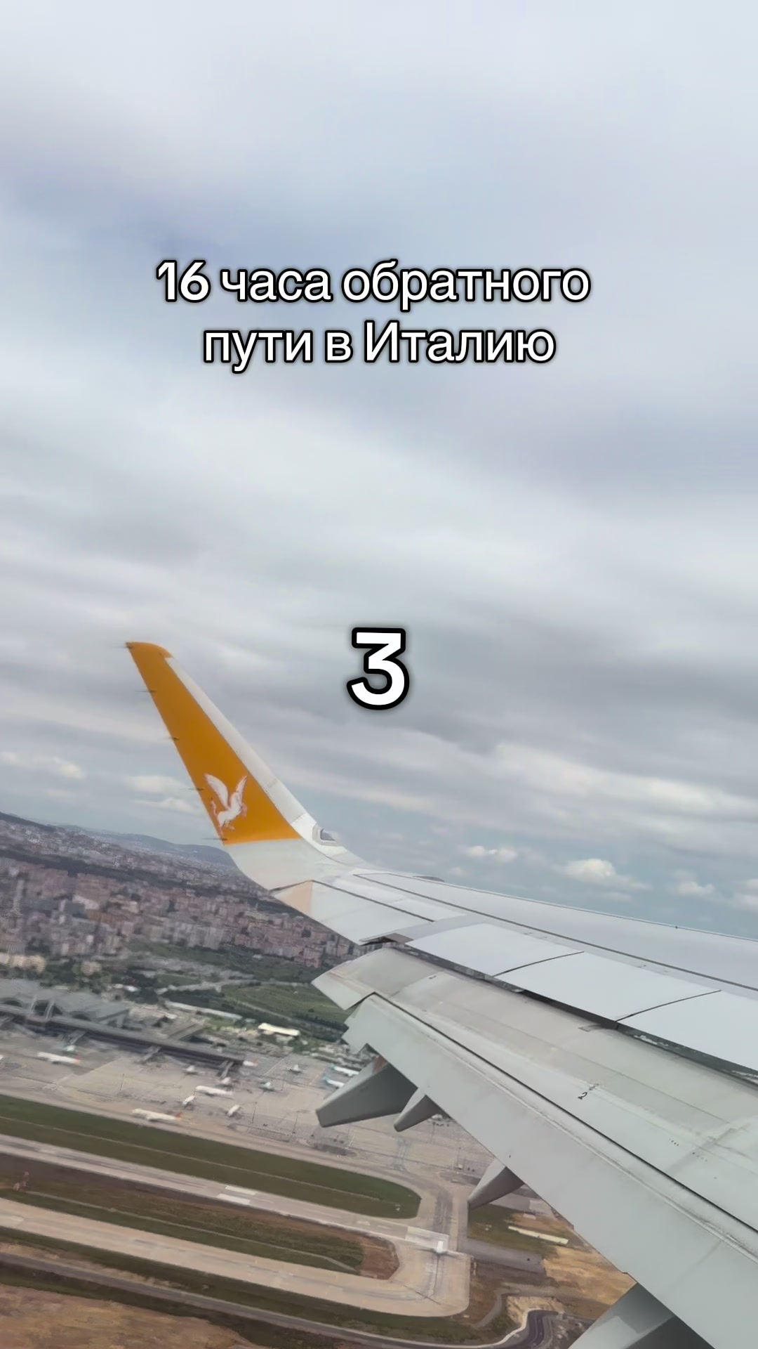 @Aladino
