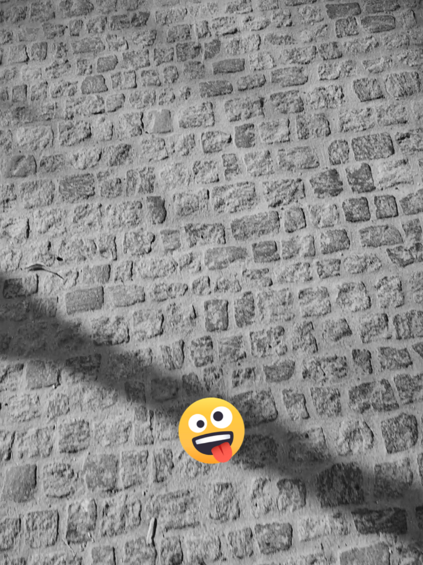 @Tԋαƚ'ʂ Mҽ Mαɳυ🖤🤘