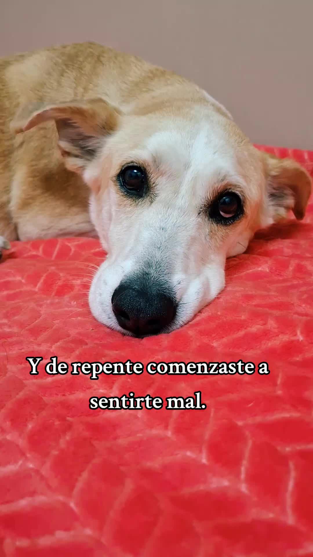 @Maricarmen Molina