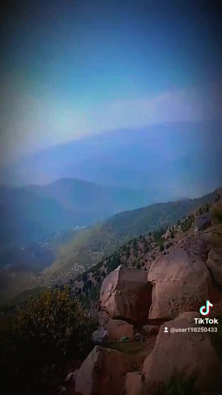@user198250433373