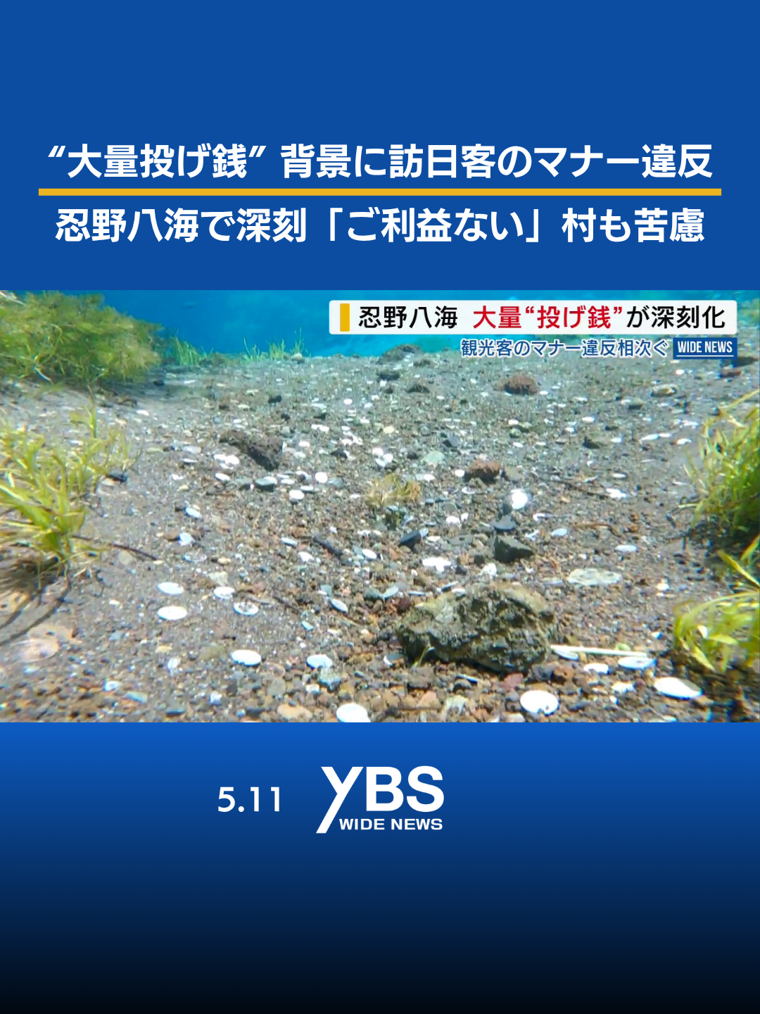 @YBSニュース 山梨【公式】