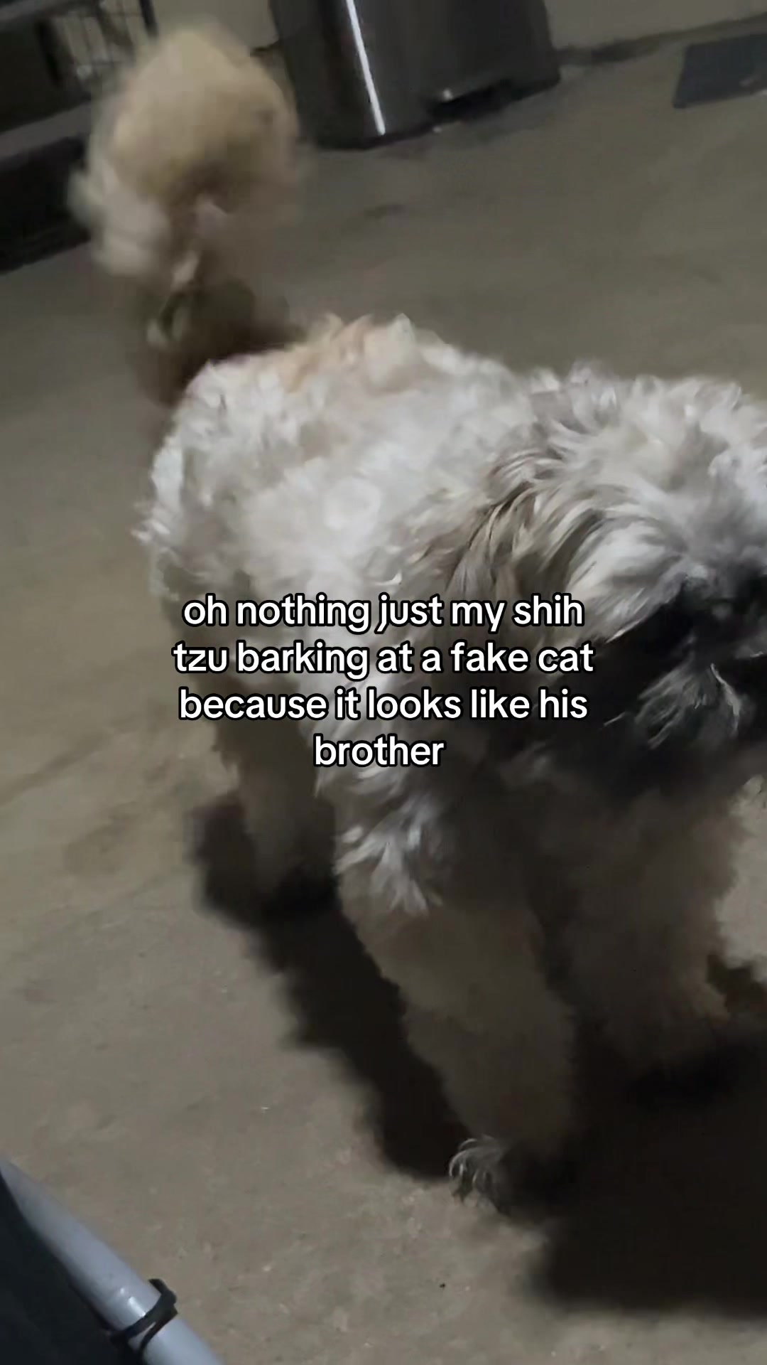 @𝐿𝐼𝑇𝑇𝐿𝐸𝑀𝐼𝑆𝑆𝐾