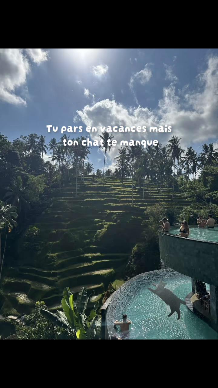 @Lisa☀️