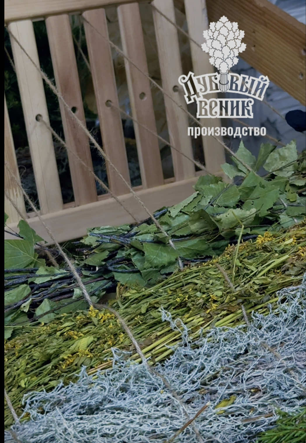 @ВЕНИКИ ДЛЯ БАНИ - DUBVENIK