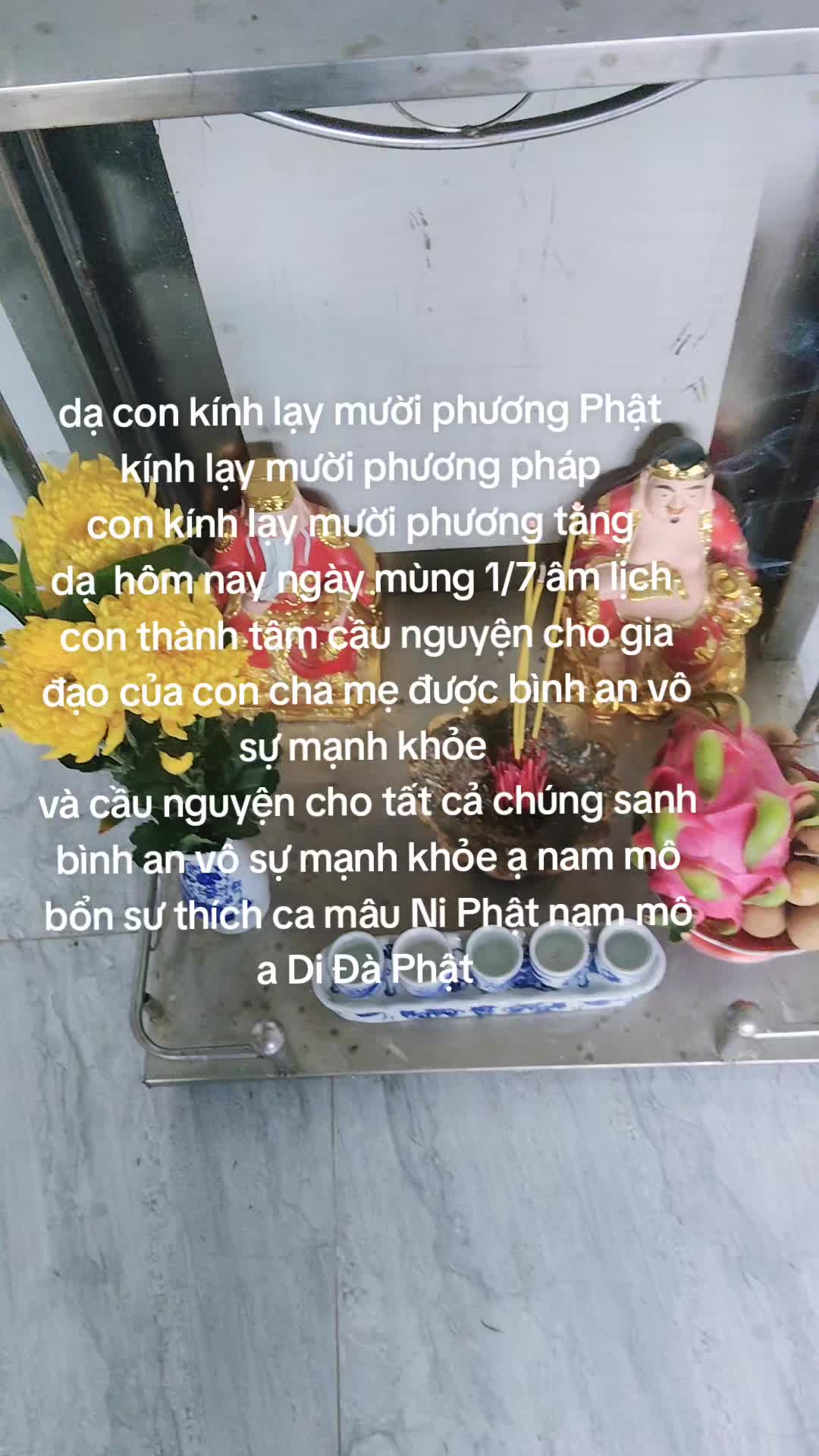 @nh&oacute;m tn diệu hạnh bỏ c&ocirc;ng sức