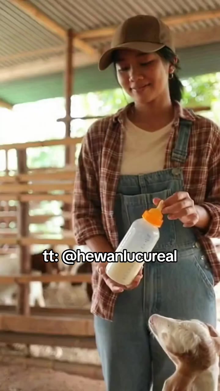 @Hewan Lucu🥰