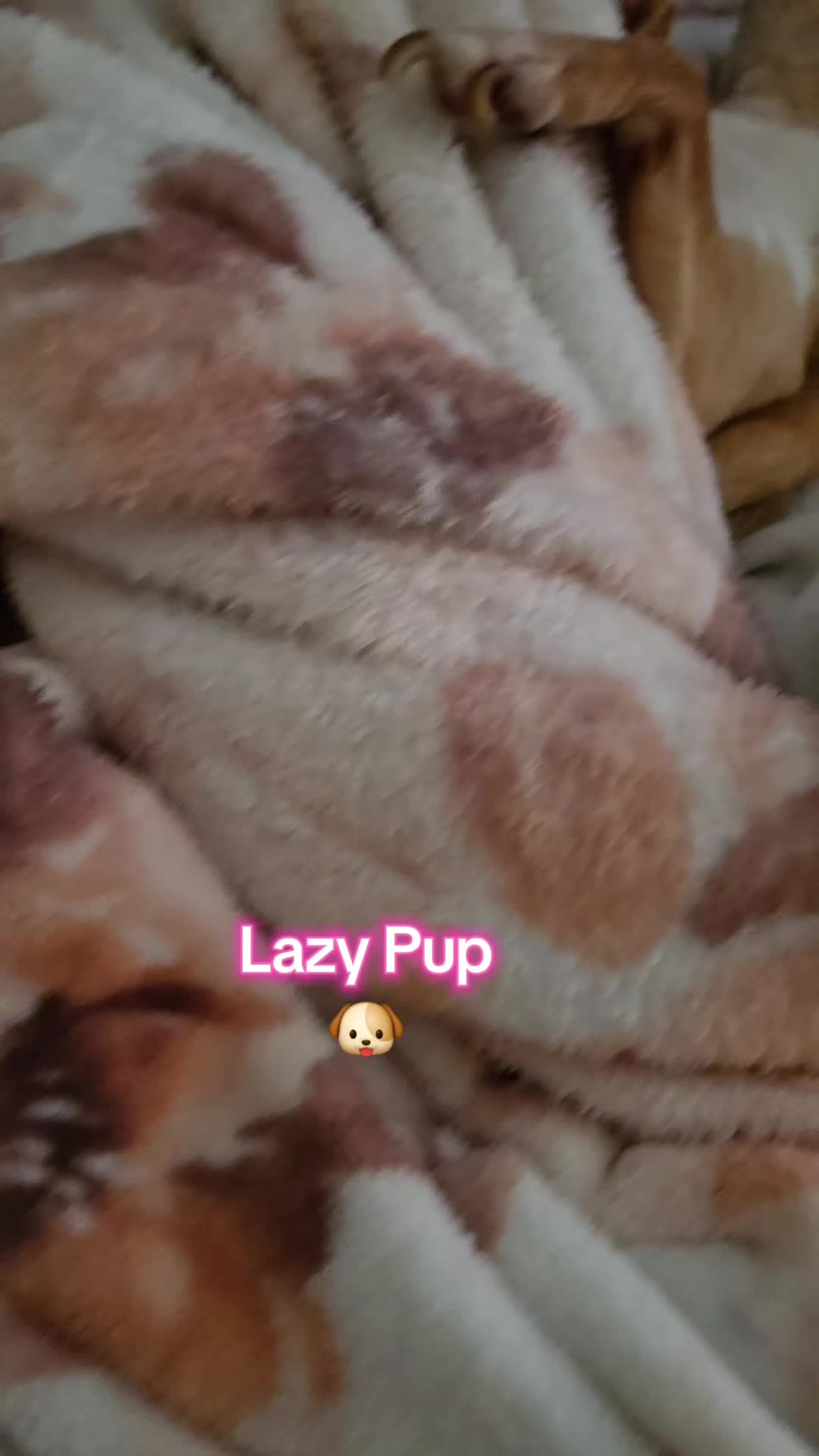 @Red