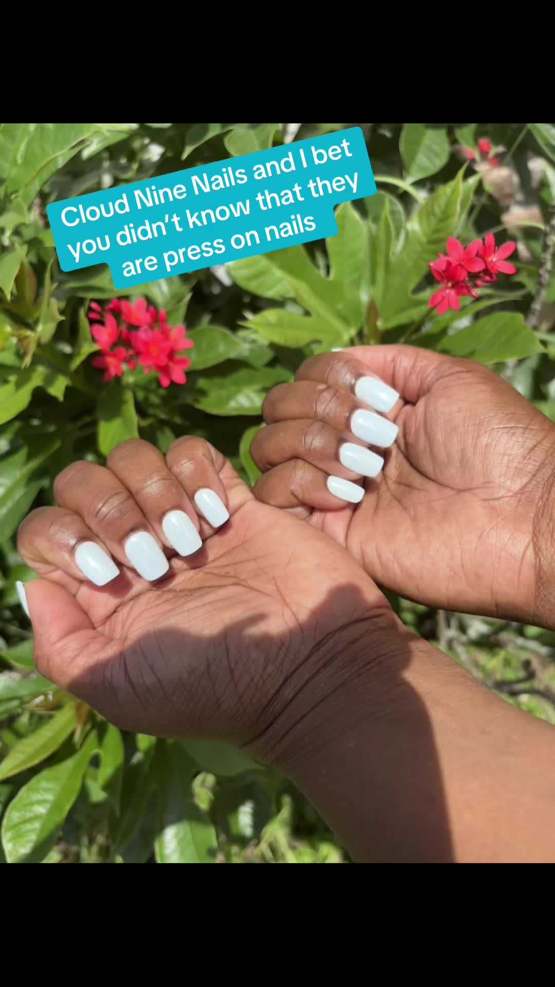 @Sexy Brown