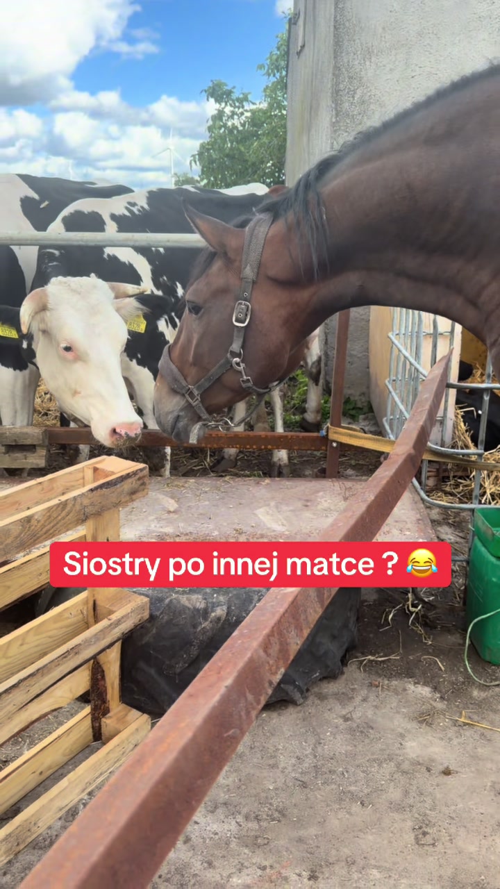@Agro_dżAga