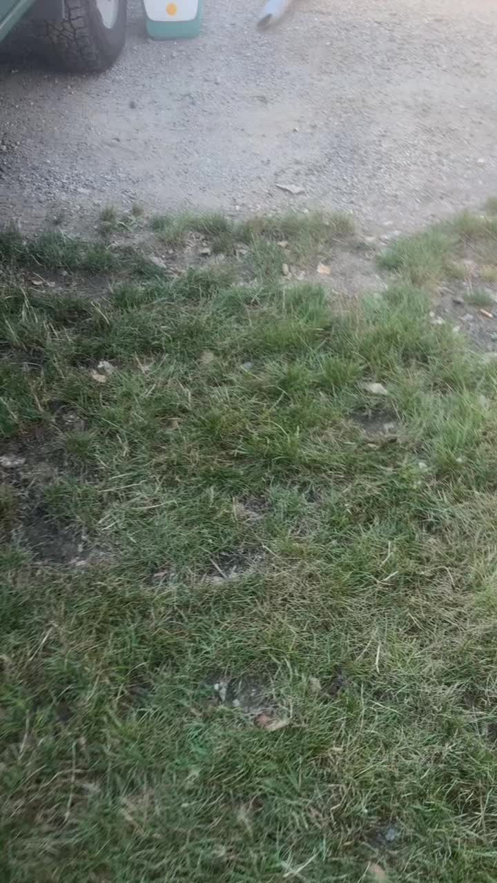 @Jarius_Lehman66
