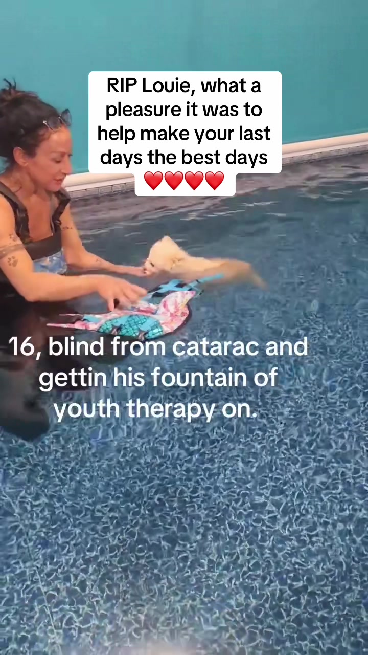 @dogmom76