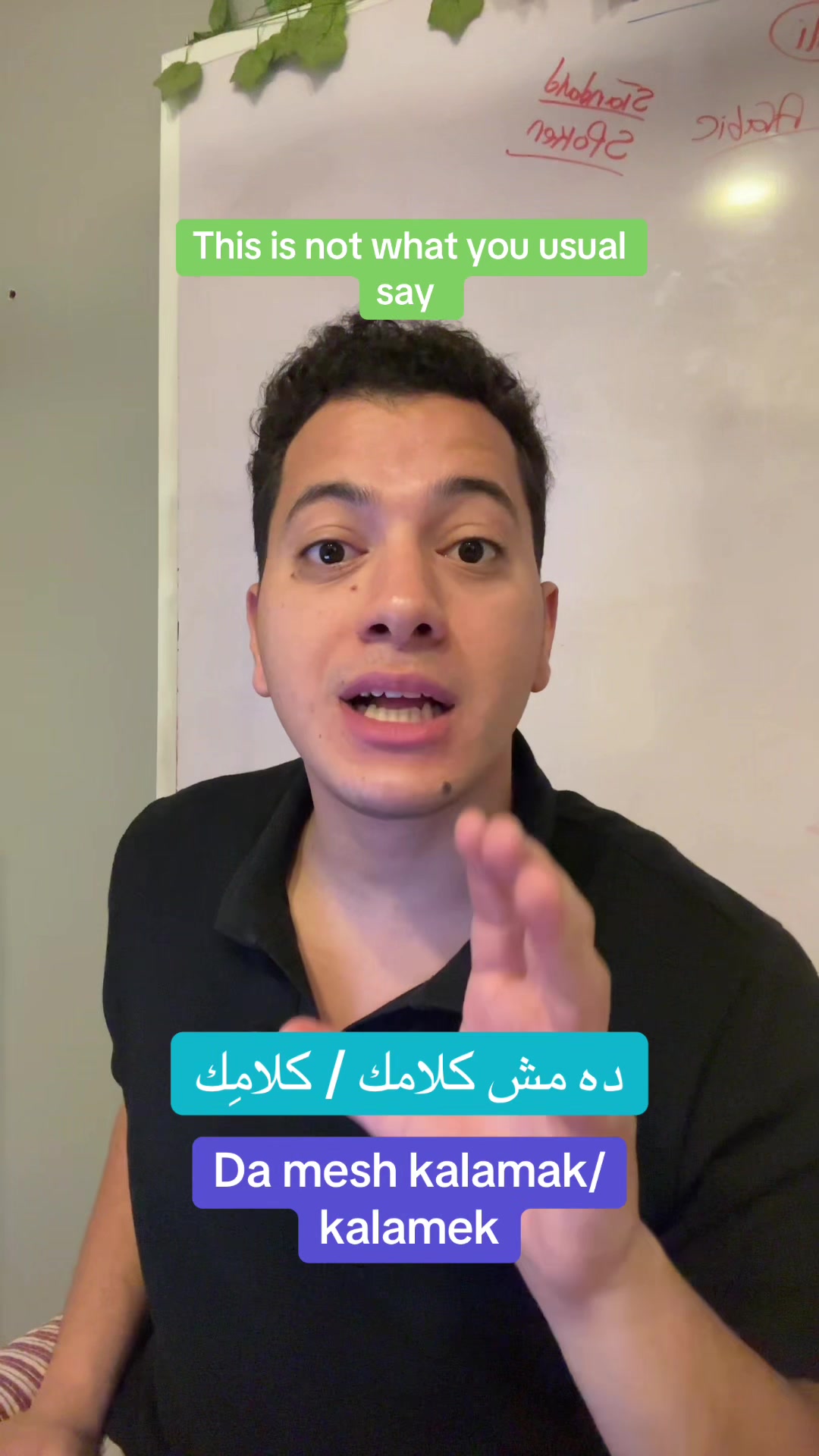 @speakarabi