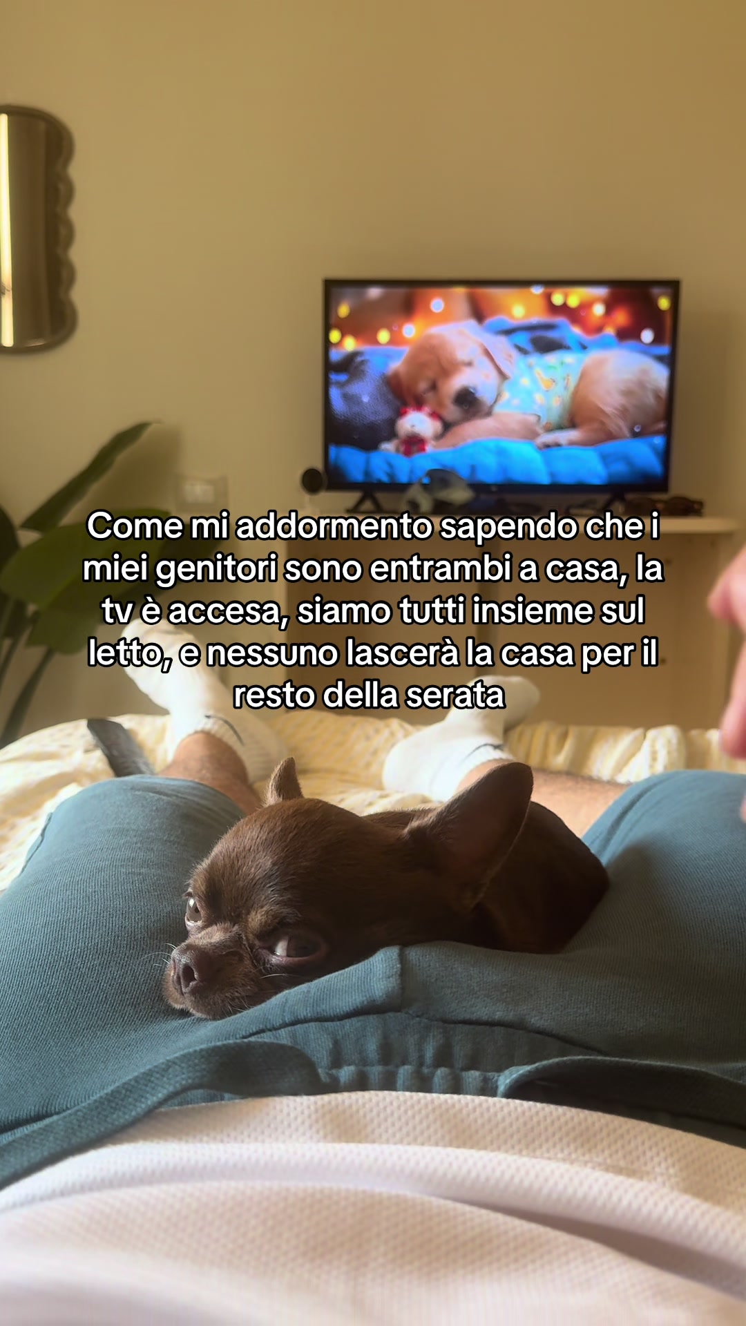 @Antonio Carone