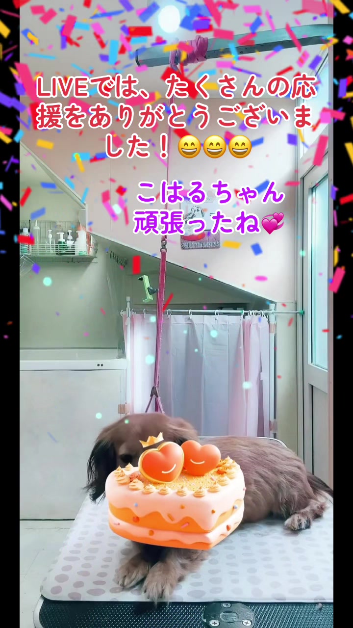 @❤️ぷりママ❤️