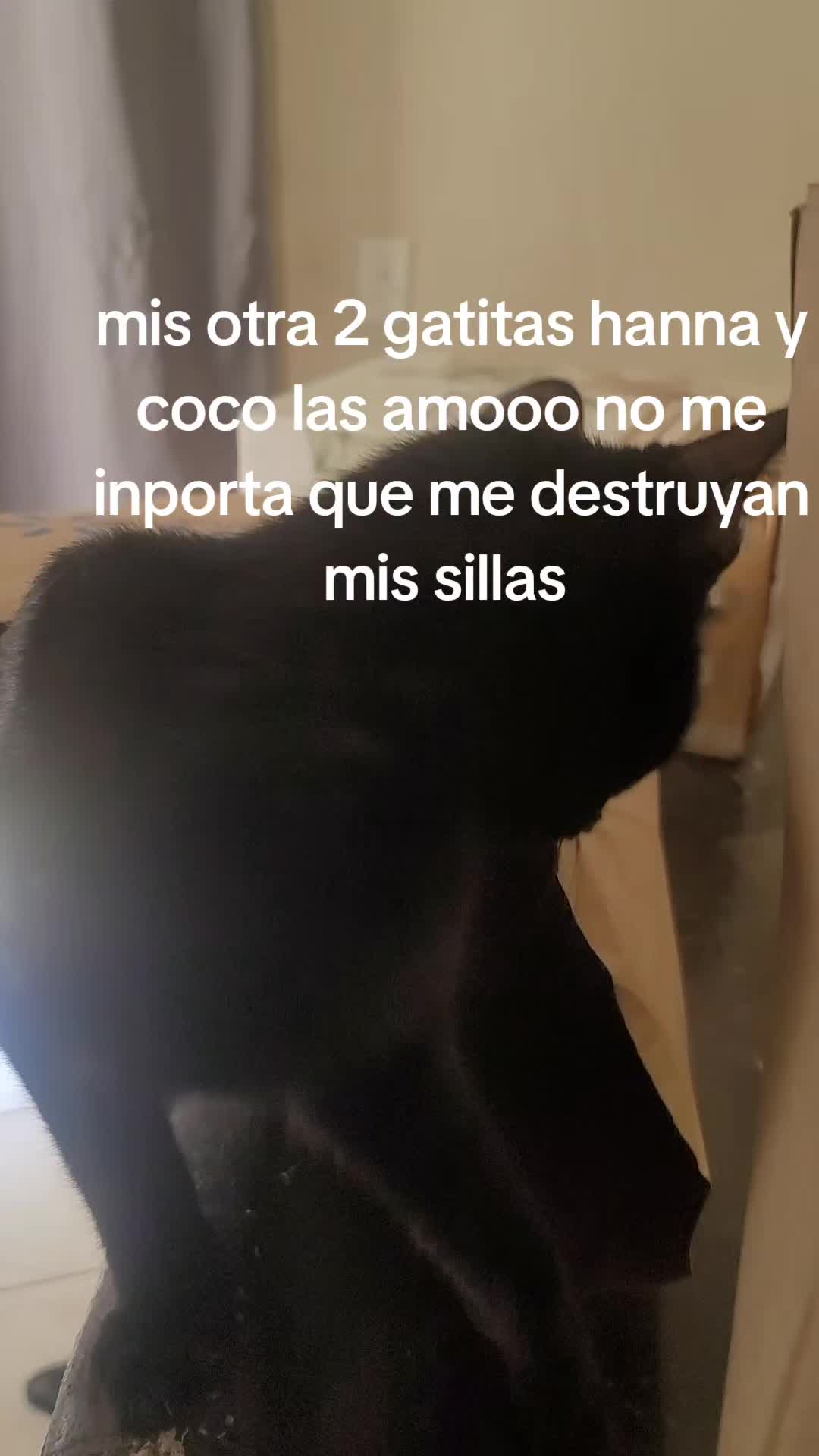 @Liliana Contreras🐥💜🐨🍉✨️👑