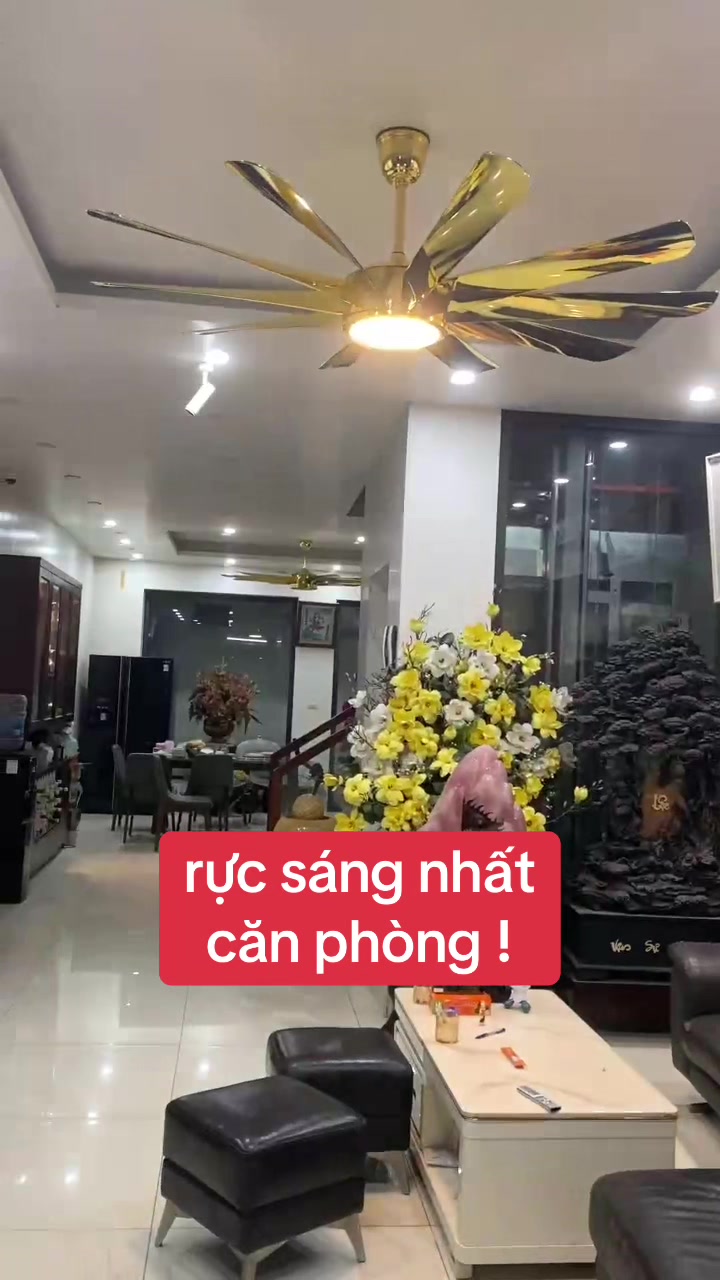 @VUA$QUẠT