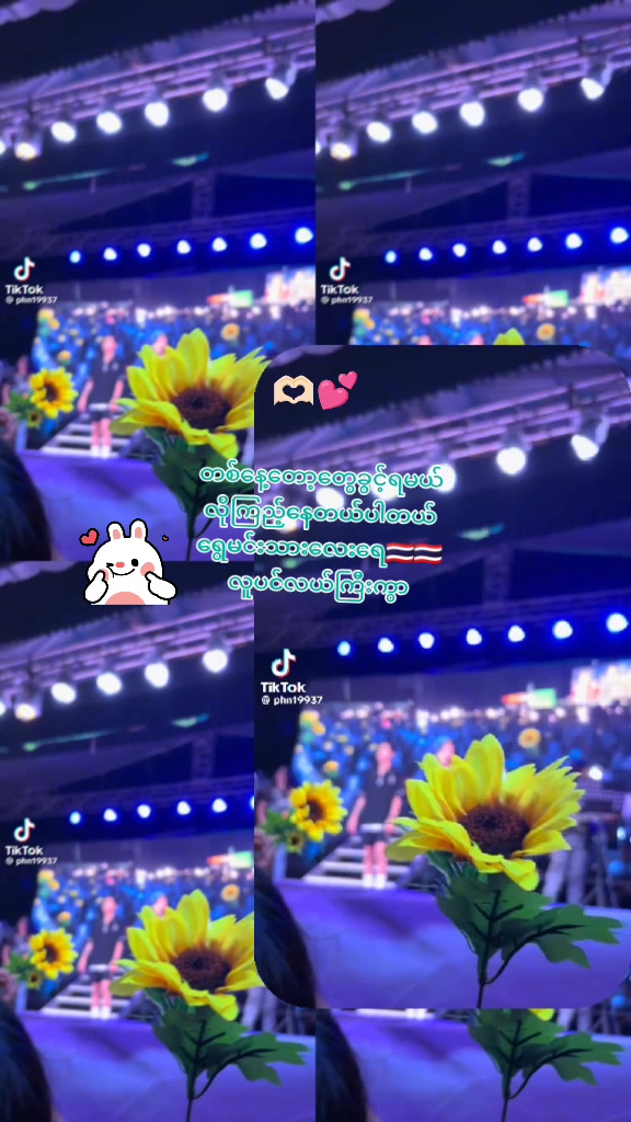 @๐น๐ญ๐A๐Z๐B๐Fan๐น๐ญ๐GirL๐
