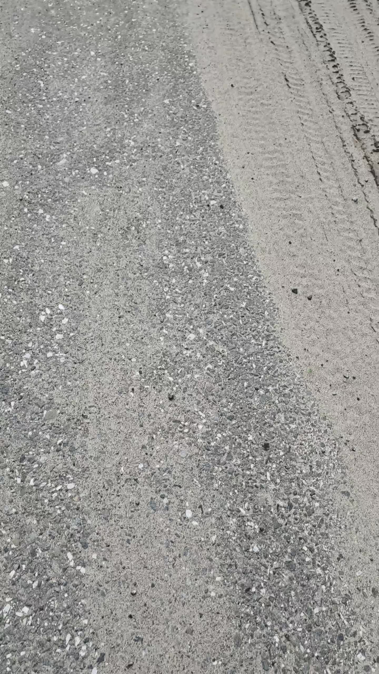 @serpet33