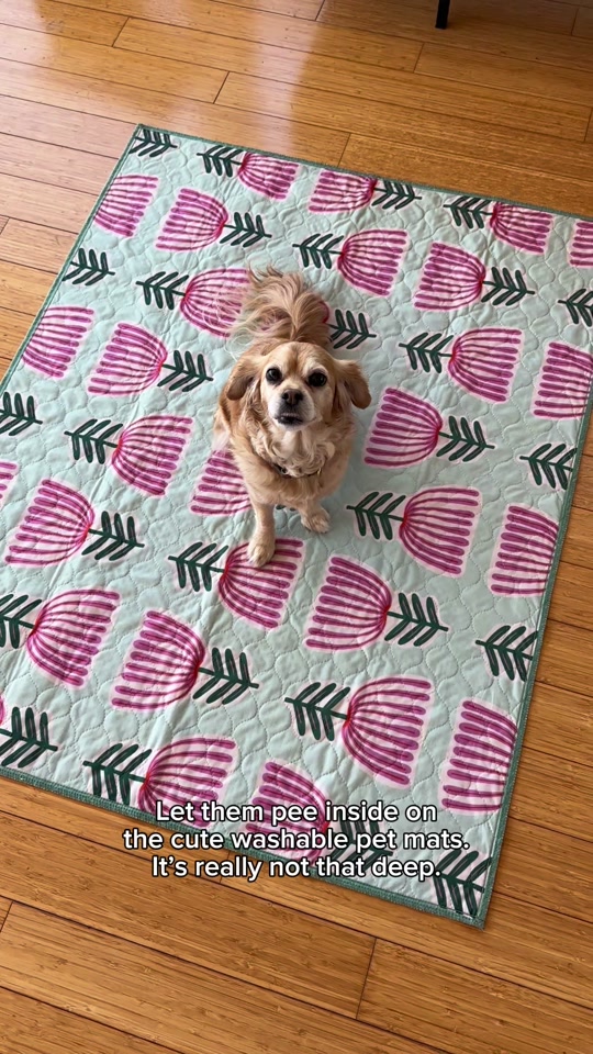 @Lovewag Pets