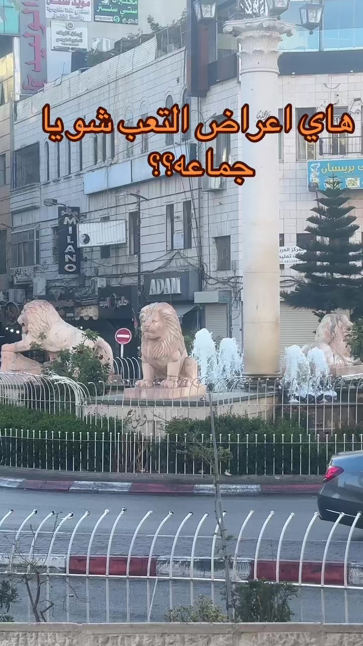 @Bahaa barakat🇵🇸
