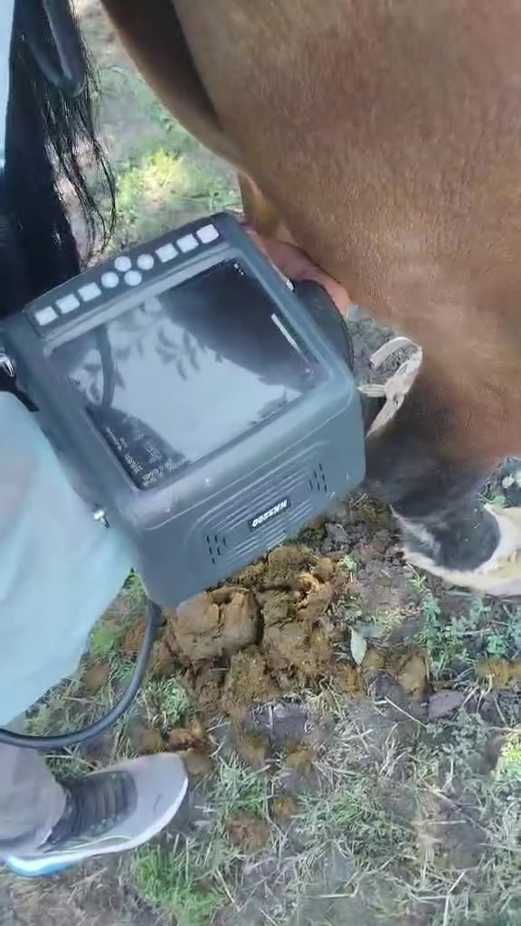 @ВАСЯ БОЙЧУК 🐎