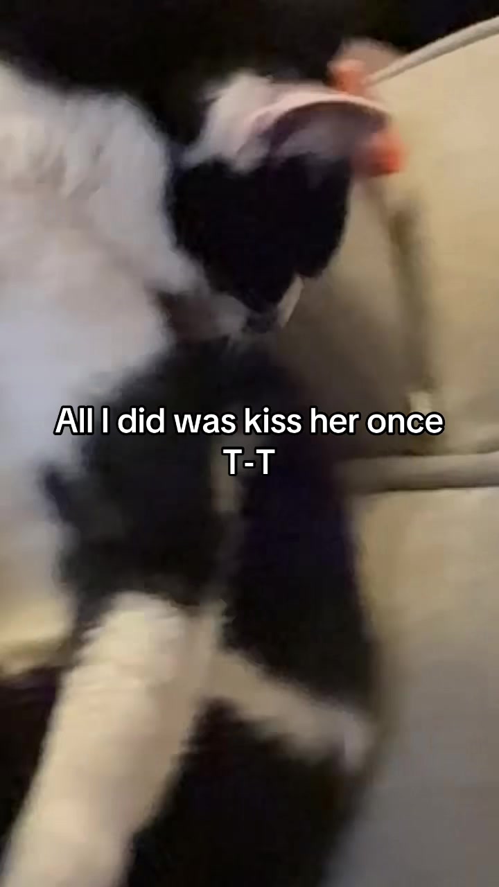 @Nicole🖤
