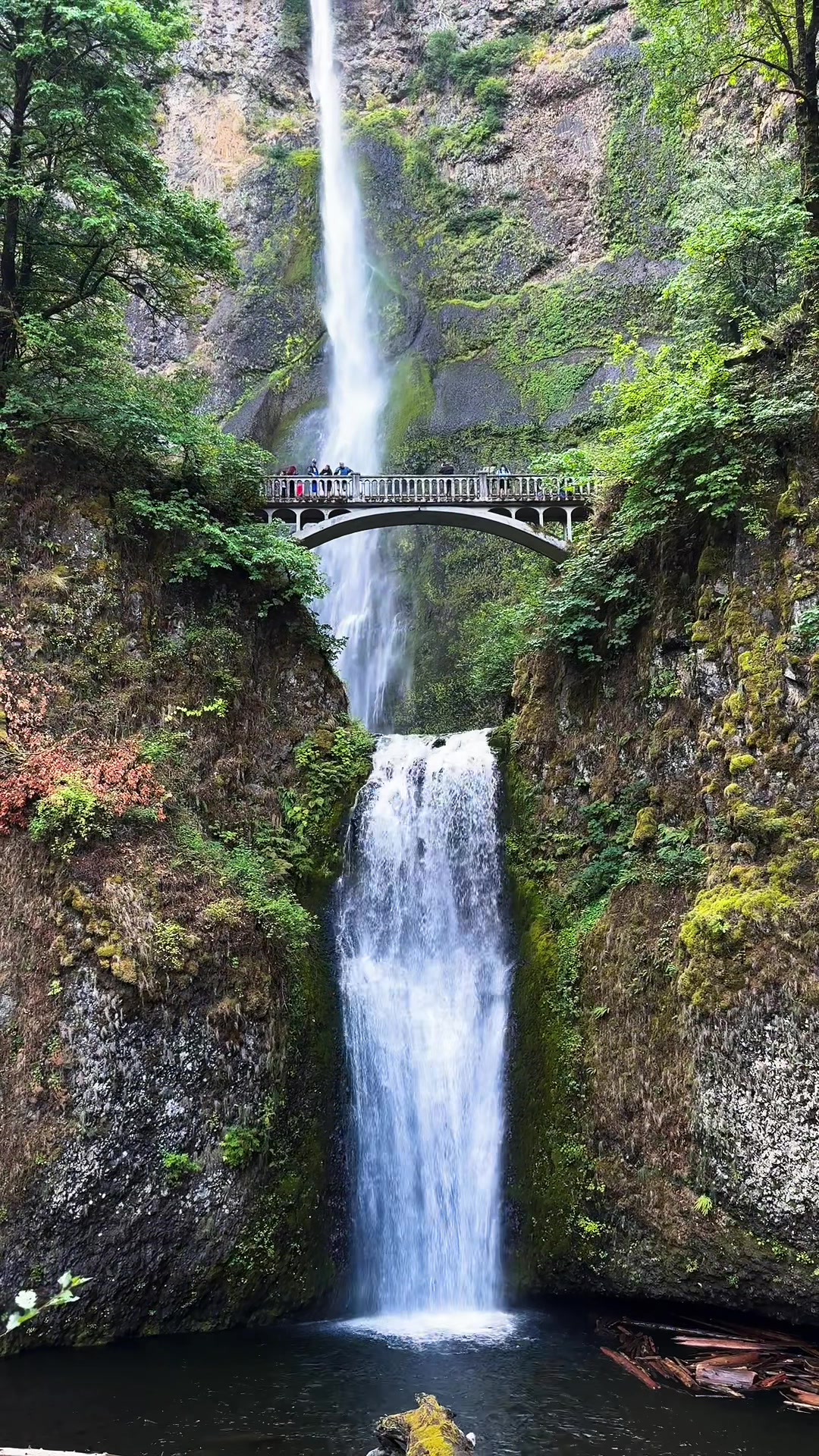 @Angel | Nature & Travel