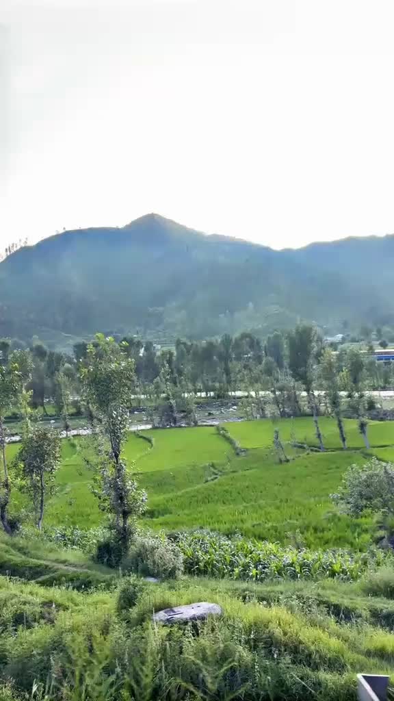 @call_me_Yasir