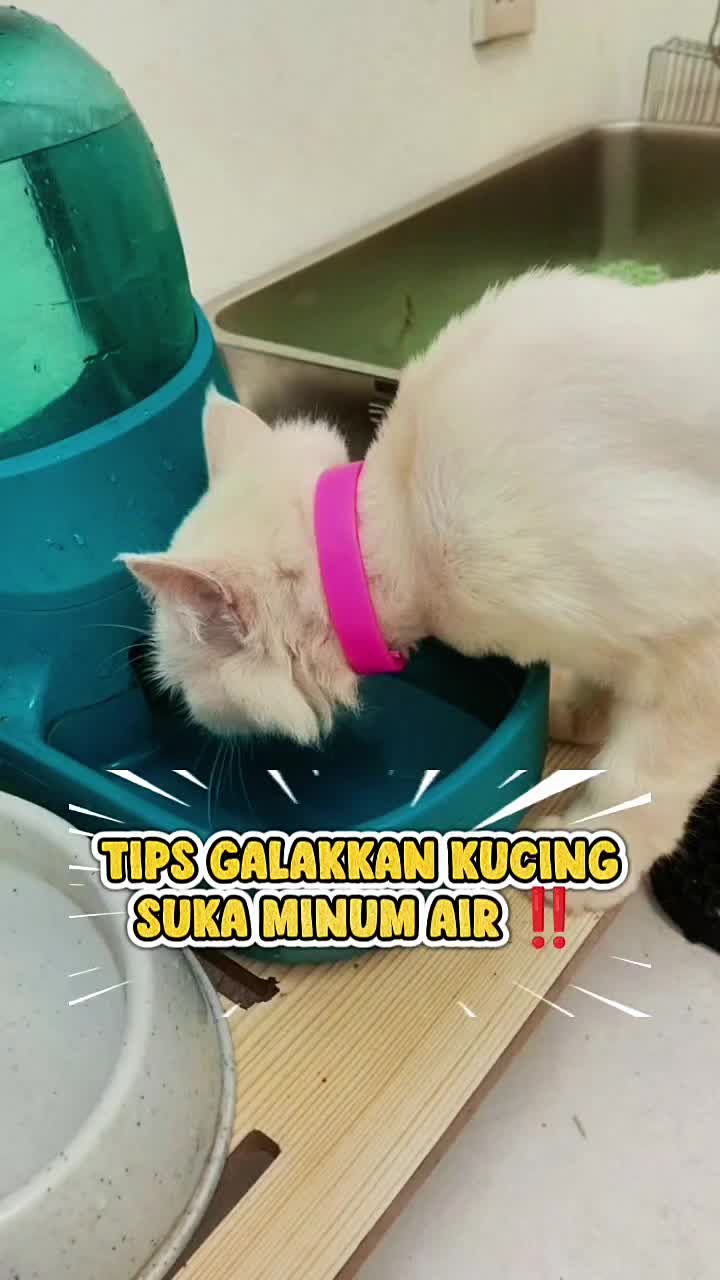@Norazrena | Racun Tiktok