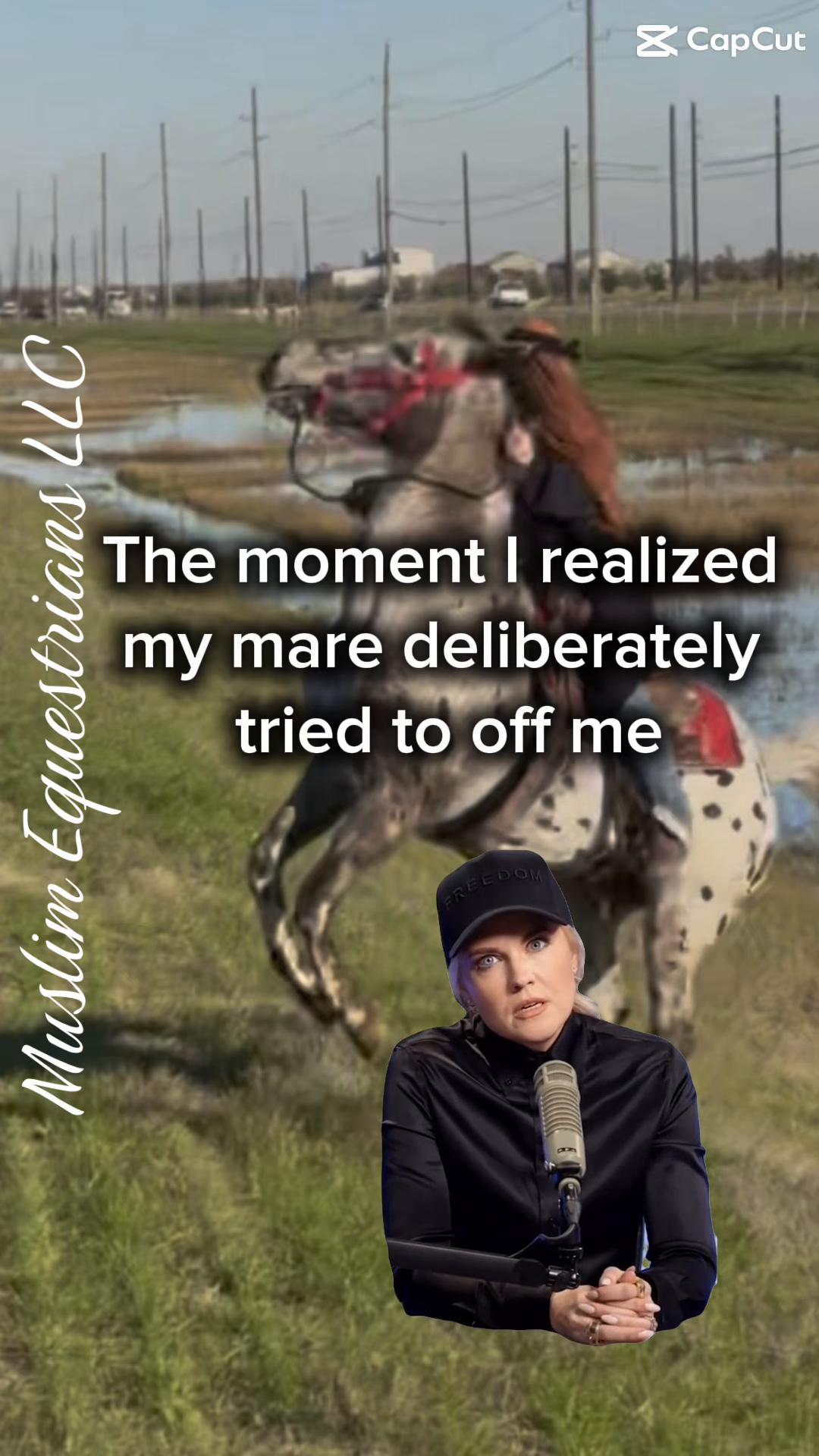 @Muslim Equestrians L.L.C.