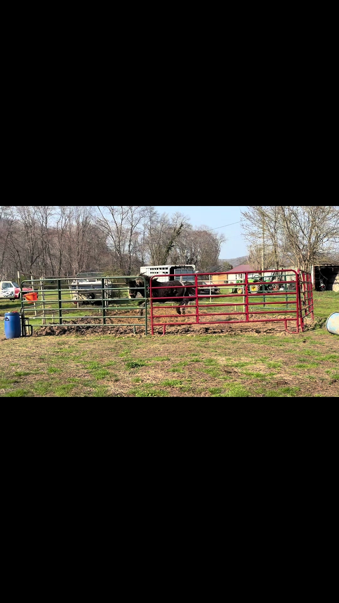 @Libby🐾❤️🐴