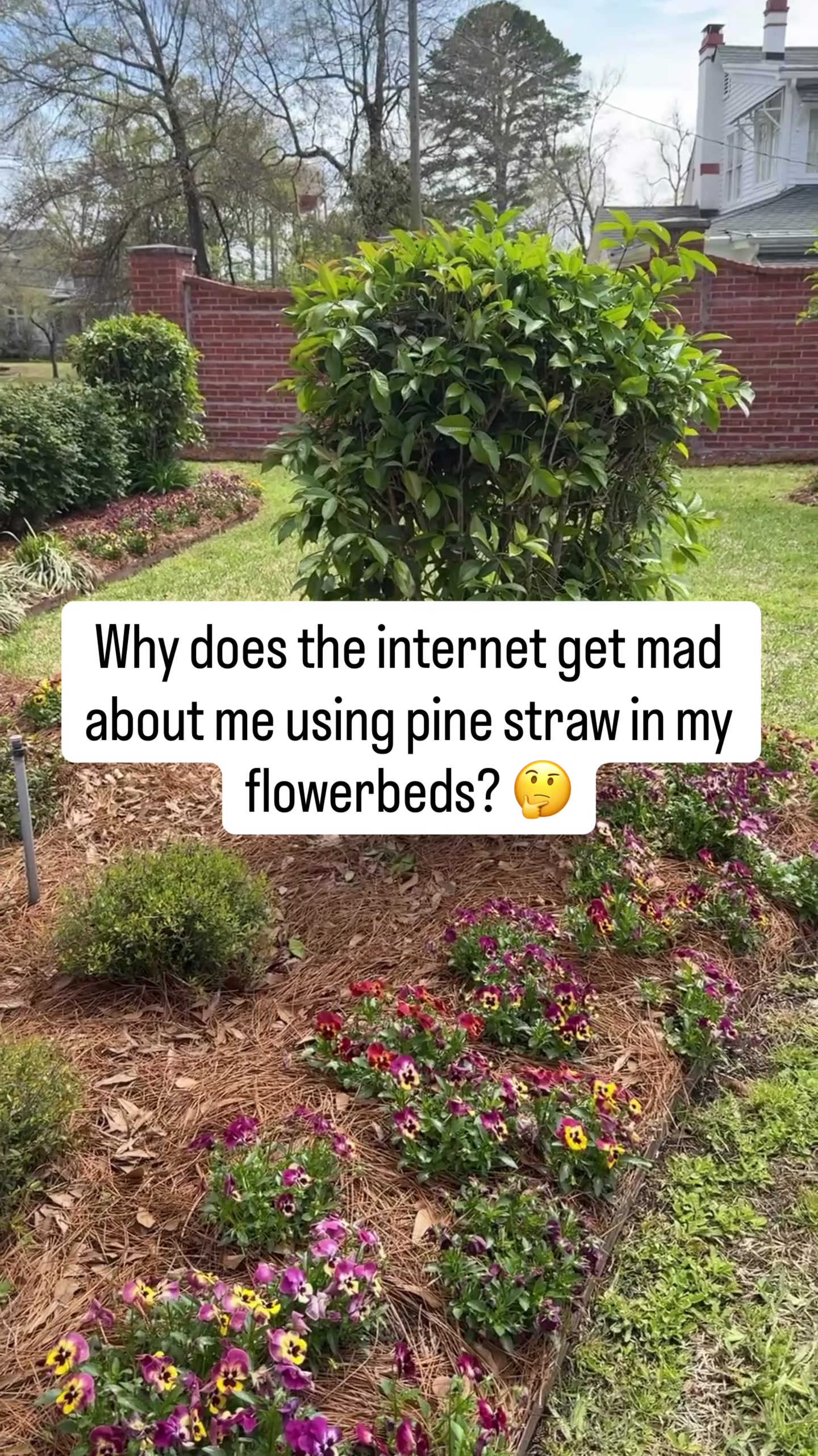 @Sara McDaniel